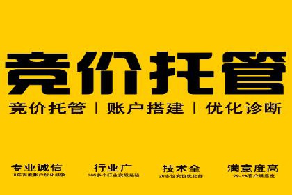 百度广告投放策略优化及成功案例解析
